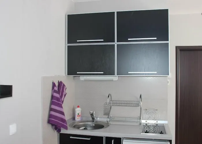 Lila U Kraljevim Cardacima アパート コパオニク